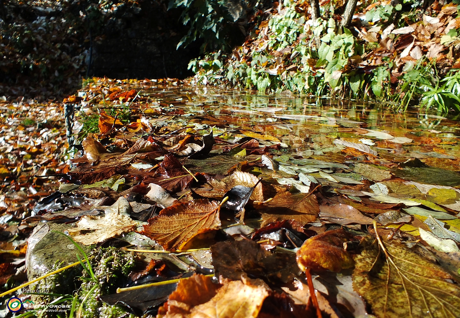 07 fontana colma d'acqua e di foglie....JPG